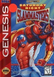 Saturday Night Slam Masters Rom